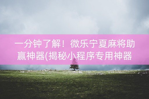 一分钟了解！微乐宁夏麻将助赢神器(揭秘小程序专用神器下载)