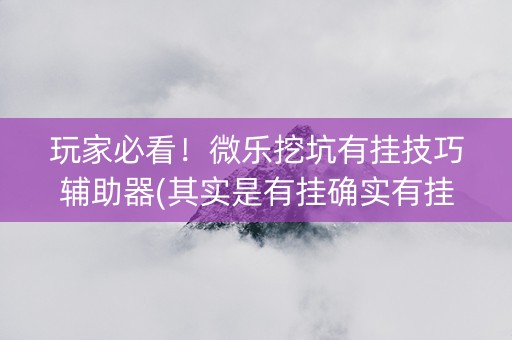 玩家必看！微乐挖坑有挂技巧辅助器(其实是有挂确实有挂)