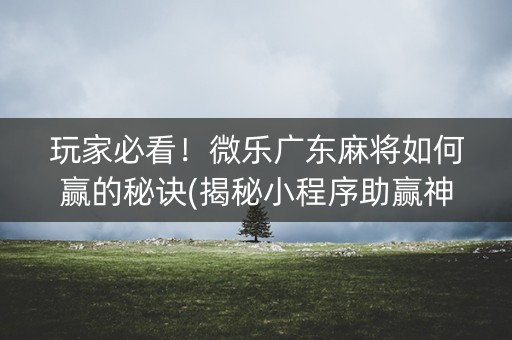 玩家必看！微乐广东麻将如何赢的秘诀(揭秘小程序助赢神器)
