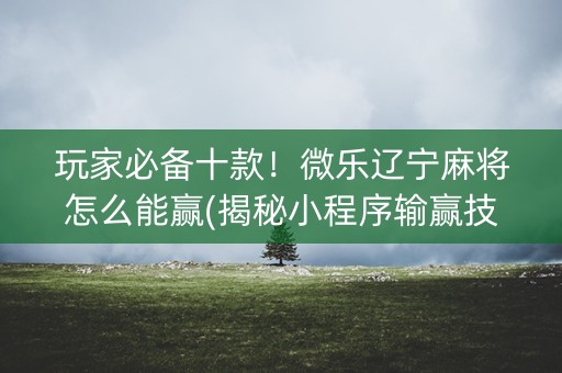 玩家必备十款！微乐辽宁麻将怎么能赢(揭秘小程序输赢技巧)