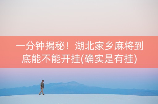 一分钟揭秘！湖北家乡麻将到底能不能开挂(确实是有挂)
