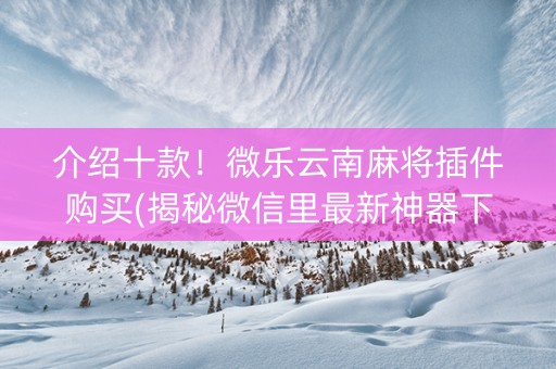 介绍十款！微乐云南麻将插件购买(揭秘微信里最新神器下载)