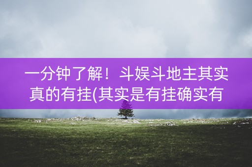 一分钟了解！斗娱斗地主其实真的有挂(其实是有挂确实有挂)