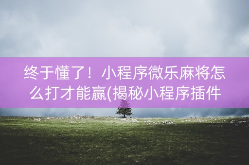 终于懂了！小程序微乐麻将怎么打才能赢(揭秘小程序插件购买)