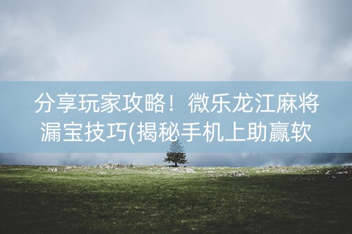 分享玩家攻略！微乐龙江麻将漏宝技巧(揭秘手机上助赢软件)