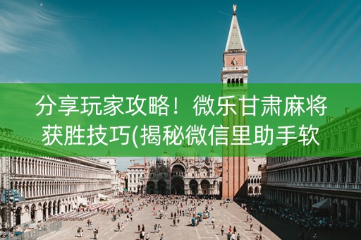分享玩家攻略！微乐甘肃麻将获胜技巧(揭秘微信里助手软件)