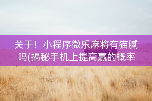 关于！小程序微乐麻将有猫腻吗(揭秘手机上提高赢的概率)