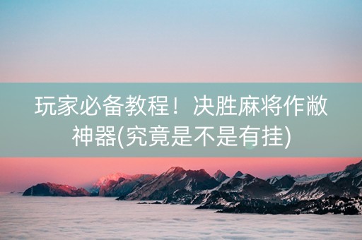 玩家必备教程！决胜麻将作敝神器(究竟是不是有挂)