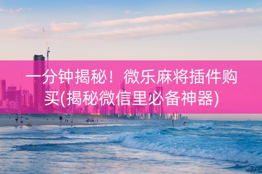 一分钟揭秘！微乐麻将插件购买(揭秘微信里必备神器)