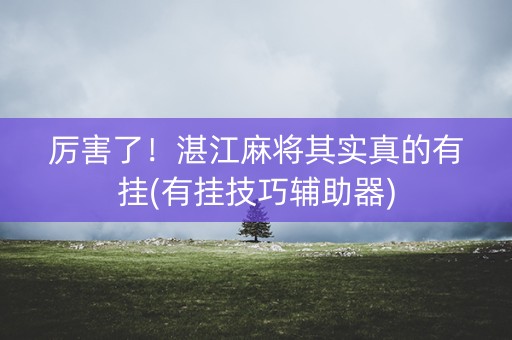 厉害了！湛江麻将其实真的有挂(有挂技巧辅助器)