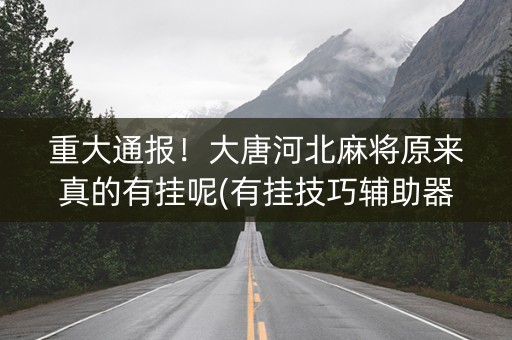 重大通报！大唐河北麻将原来真的有挂呢(有挂技巧辅助器)