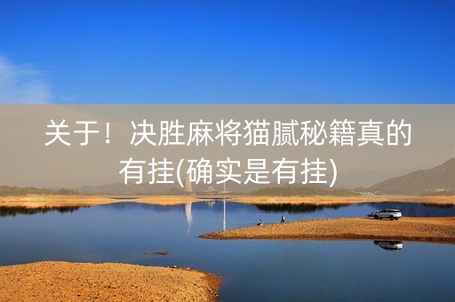 关于！决胜麻将猫腻秘籍真的有挂(确实是有挂)