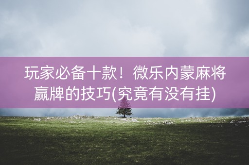 玩家必备十款！微乐内蒙麻将赢牌的技巧(究竟有没有挂)