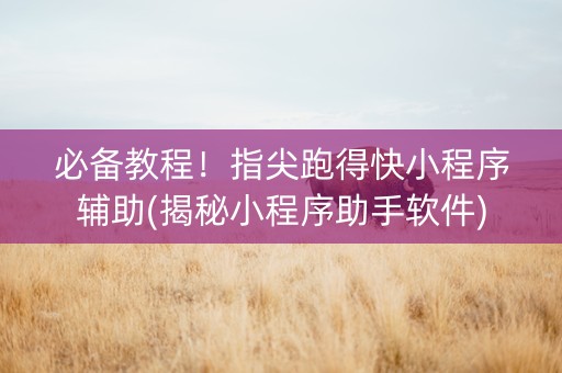 必备教程！指尖跑得快小程序辅助(揭秘小程序助手软件)