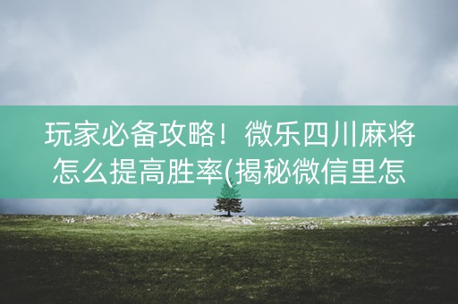 玩家必备攻略！微乐四川麻将怎么提高胜率(揭秘微信里怎么容易赢)