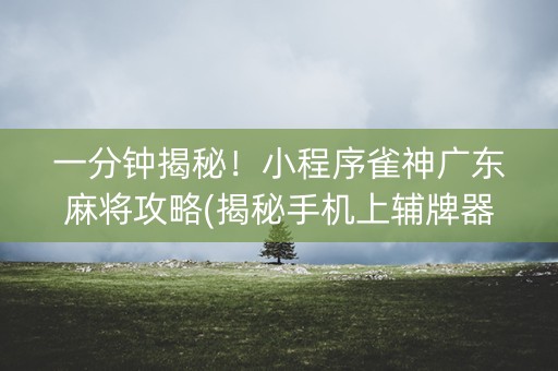 一分钟揭秘！小程序雀神广东麻将攻略(揭秘手机上辅牌器)