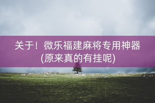 关于！微乐福建麻将专用神器(原来真的有挂呢)