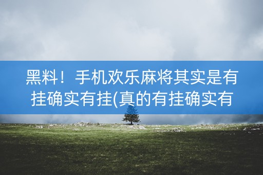 黑料！手机欢乐麻将其实是有挂确实有挂(真的有挂确实有挂)