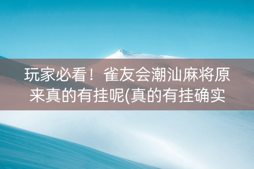 玩家必看！雀友会潮汕麻将原来真的有挂呢(真的有挂确实有挂)