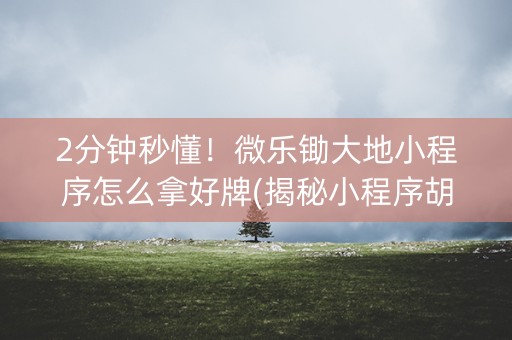 2分钟秒懂！微乐锄大地小程序怎么拿好牌(揭秘小程序胡牌技巧)