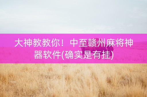 大神教教你！中至赣州麻将神器软件(确实是有挂)
