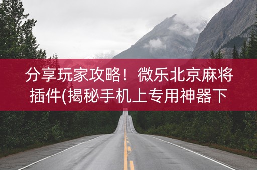 分享玩家攻略！微乐北京麻将插件(揭秘手机上专用神器下载)