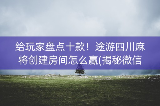 给玩家盘点十款！途游四川麻将创建房间怎么赢(揭秘微信里赢的诀窍)