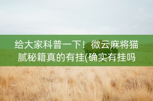 给大家科普一下！微云麻将猫腻秘籍真的有挂(确实有挂吗)