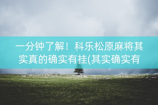 一分钟了解！科乐松原麻将其实真的确实有挂(其实确实有挂)