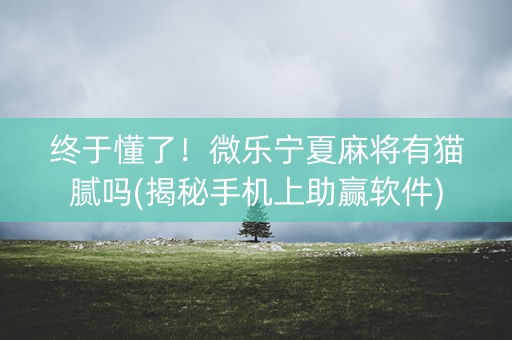 终于懂了！微乐宁夏麻将有猫腻吗(揭秘手机上助赢软件)