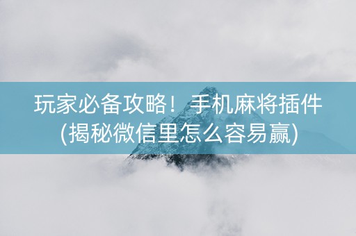 玩家必备攻略！手机麻将插件(揭秘微信里怎么容易赢)