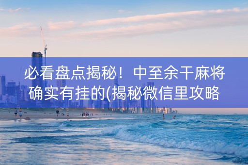必看盘点揭秘！中至余干麻将确实有挂的(揭秘微信里攻略插件)