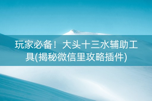 玩家必备！大头十三水辅助工具(揭秘微信里攻略插件)