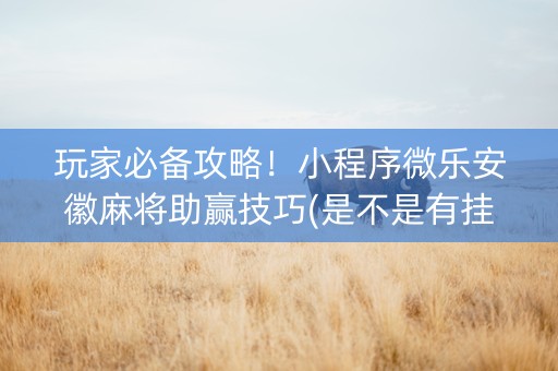 玩家必备攻略！小程序微乐安徽麻将助赢技巧(是不是有挂)