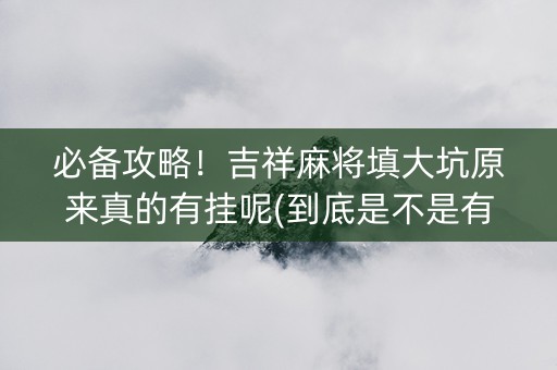 必备攻略！吉祥麻将填大坑原来真的有挂呢(到底是不是有挂)