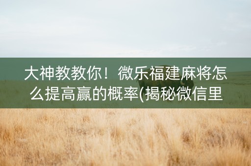 大神教教你！微乐福建麻将怎么提高赢的概率(揭秘微信里规律攻略)