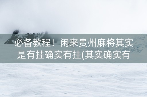 必备教程！闲来贵州麻将其实是有挂确实有挂(其实确实有挂)