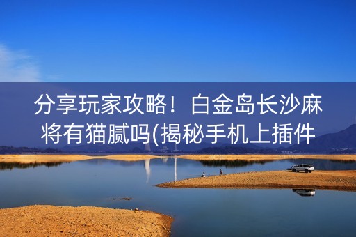 分享玩家攻略！白金岛长沙麻将有猫腻吗(揭秘手机上插件购买)