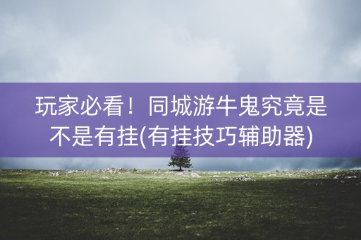 玩家必看！同城游牛鬼究竟是不是有挂(有挂技巧辅助器)