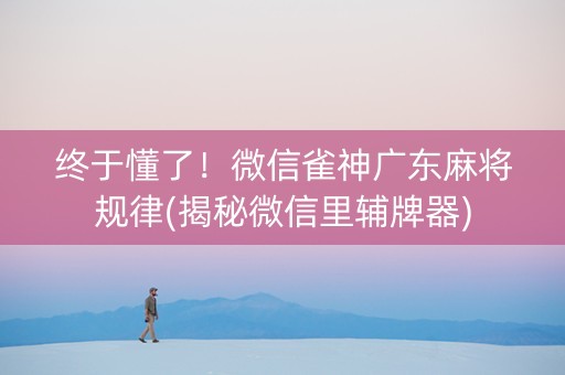 终于懂了！微信雀神广东麻将规律(揭秘微信里辅牌器)