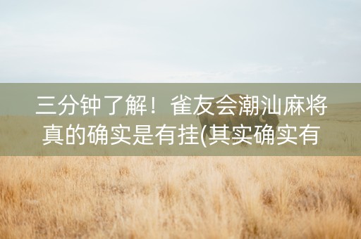三分钟了解！雀友会潮汕麻将真的确实是有挂(其实确实有挂)