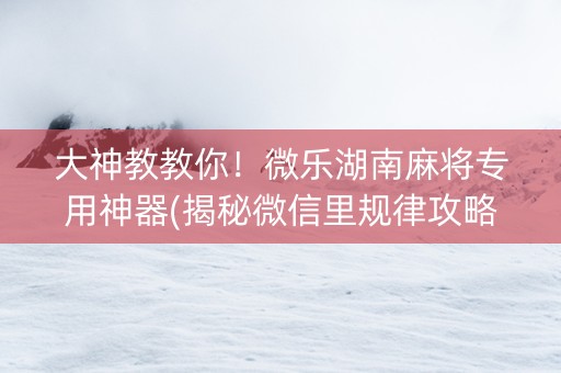 大神教教你！微乐湖南麻将专用神器(揭秘微信里规律攻略)