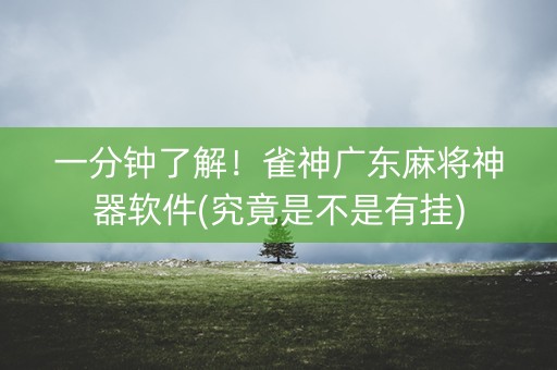 一分钟了解！雀神广东麻将神器软件(究竟是不是有挂)