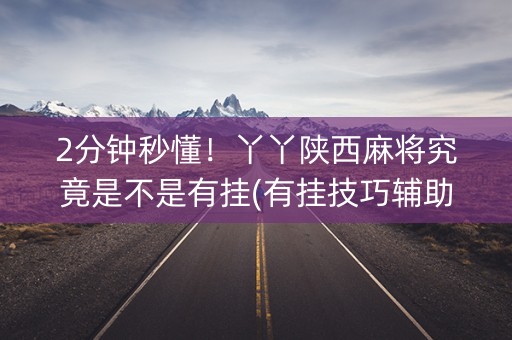 2分钟秒懂！丫丫陕西麻将究竟是不是有挂(有挂技巧辅助器)