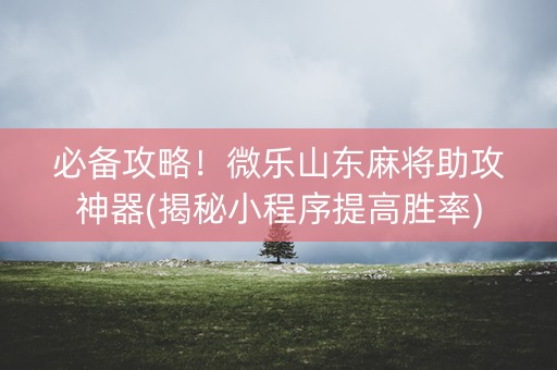 必备攻略！微乐山东麻将助攻神器(揭秘小程序提高胜率)