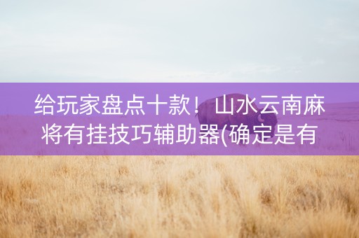 给玩家盘点十款！山水云南麻将有挂技巧辅助器(确定是有挂)