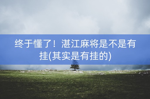 终于懂了！湛江麻将是不是有挂(其实是有挂的)
