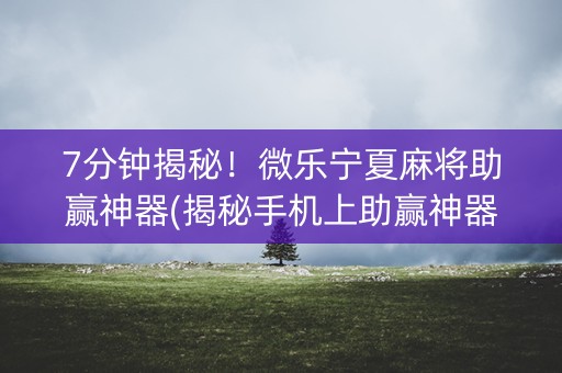 7分钟揭秘！微乐宁夏麻将助赢神器(揭秘手机上助赢神器购买)