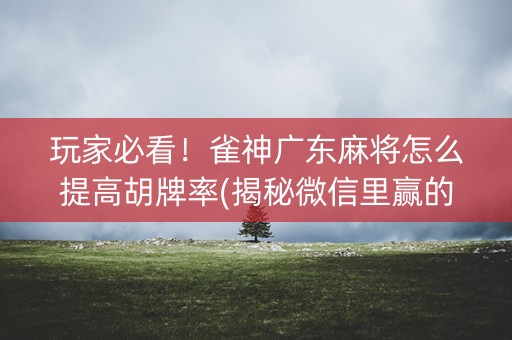 玩家必看！雀神广东麻将怎么提高胡牌率(揭秘微信里赢的秘诀)