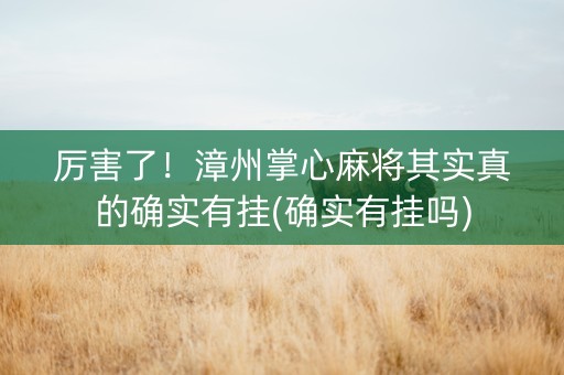 厉害了！漳州掌心麻将其实真的确实有挂(确实有挂吗)